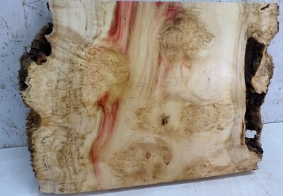 Box Elder Burl Slab with Live Edge | Red Flame | Kiln Dried | BEB 142