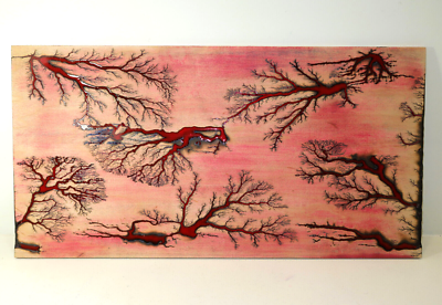 Coral Red Lichtenberg Fractal Burn Wall Art – OOAK Wood Panel – 24