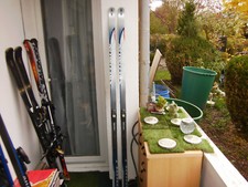 Langlaufski SALOMON,  183 cm mit SNS - PROFIL, Bindung, gut! (60)