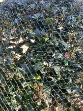 Commercial Grade Anti Bird Netting Heavy Duty Garden Poultry Polyethylene Net