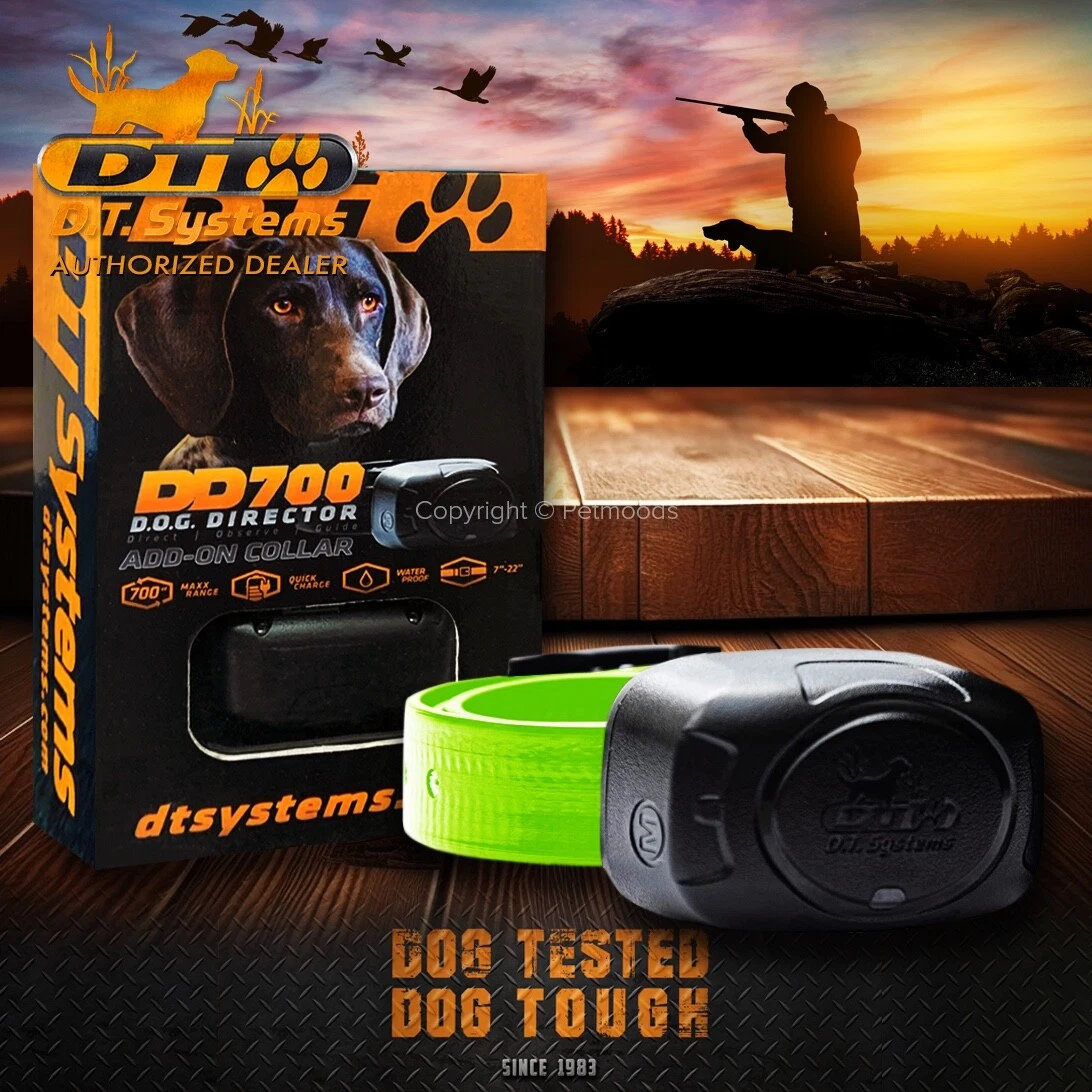 DT Systems DD 700 Add On Collar Dog Receiver MAXX Range 360 Green