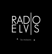 Radio Elvis – Les Moissons - 45T France 2015