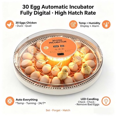 30 Eier Brutautomat Vollautomatisch Eierinkubator Brutmaschine Inkubator DE