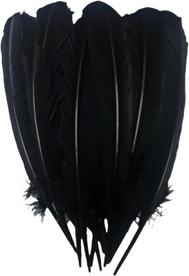24Pcs Black Turkey Feathers 10~12In Long,Beautiful Feather for Crafts 26-31Cm,Bu