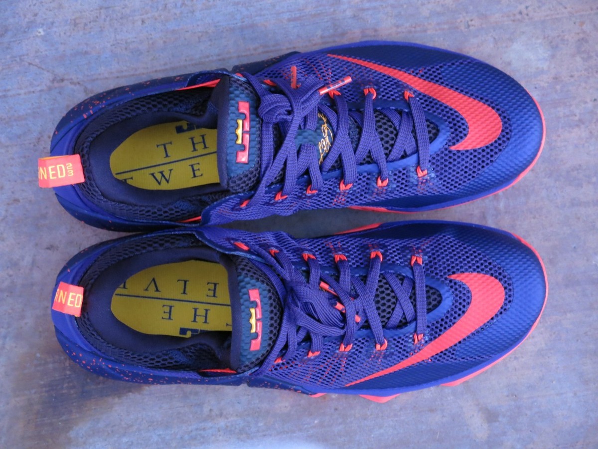 Nike Lebron XII Low Men's Basketball Shoes 724557-565 | eBay