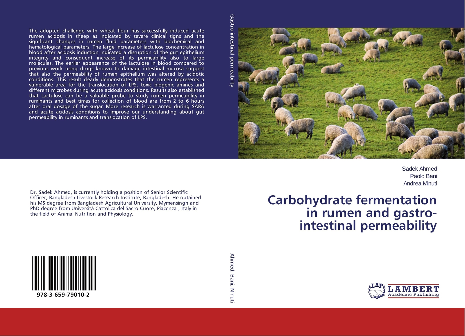 Thumbnail - Sadek Ahmed (u. A.) | Carbohydrate Fermentation In Rumen And...