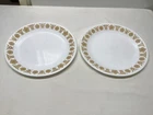 2 Butterfly Gold Corelle Dinner Plates - 10 1/4 inches