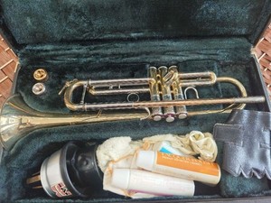 Yamaha Xeno Trumpet Case | eBay