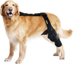 MerryMilo Dog Knee Brace Cruciate Ligament Conditions, MEDIUM NIP C0282