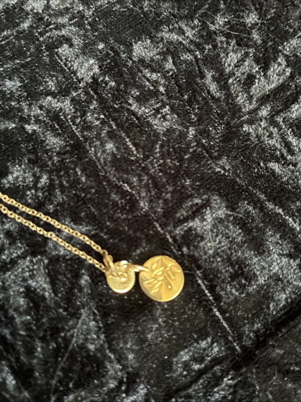 GLDN  Necklace 14k Gold Fill 17-19"
