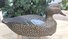Howard Daniel Homer (1916-2002) Cinnamon Teal Duck Decoy Pair Cable, WI  — photo 4