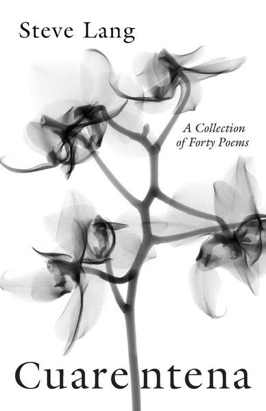 Steve Lang | Cuarentena | Taschenbuch | Englisch (2021) | Resource Publications-image