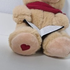 Reading Bear Plush Toy - Pre-Owned