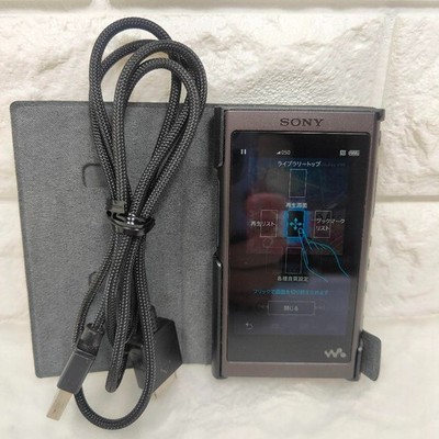 Sony Walkman NW-A50 Series 64GB Digital Audio MP3 Music Player