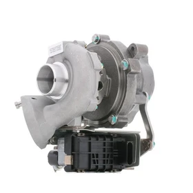 RIDEX Turbolader für BMW 5 Limousine E60 520 d 11422247302 7794022H07