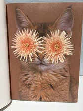 Stephen Eichhorn Photobook CATS & PLANTS Shrinkwrapped & NEW OP RARE!!