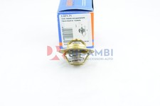 Thermostat Peugeot 204