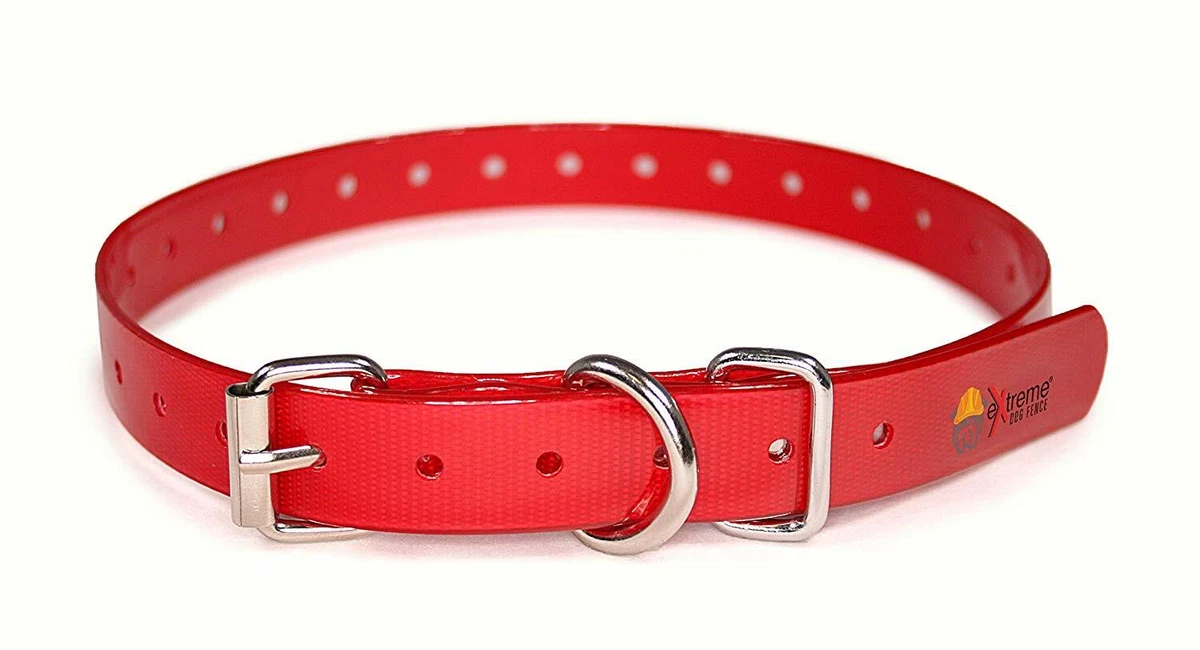Petsafe compatible clearance collar