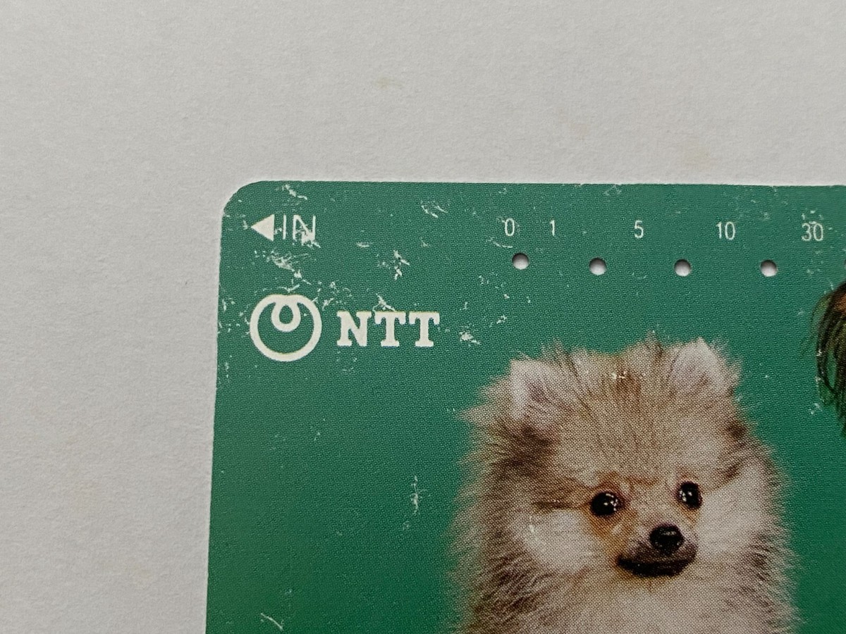 Pomeranian and papillon Telephone Cards japanese 1989 NTT Vintage