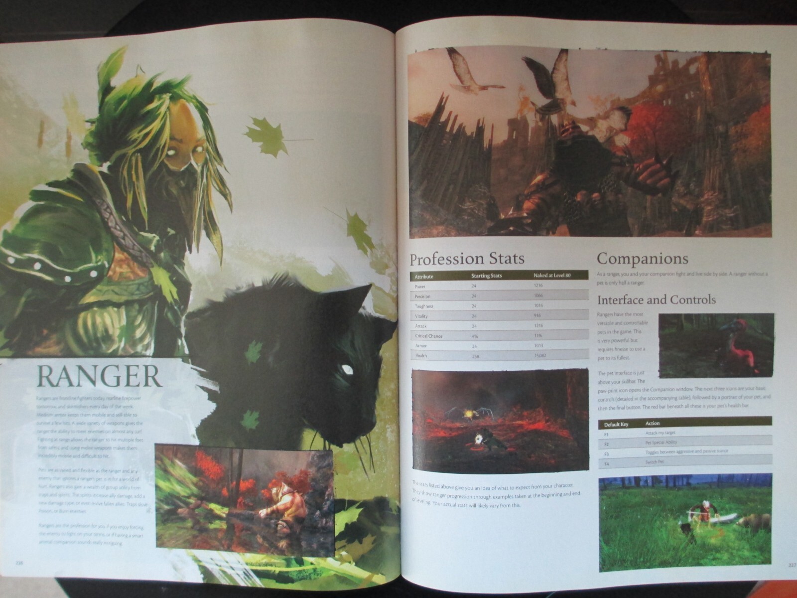 Guild Wars 2 Guide Book | eBay