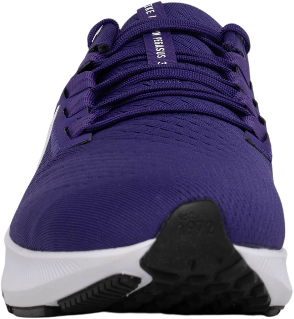 Las mejores ofertas en Nike Air Zoom Pegasus 38 TB Court Purple