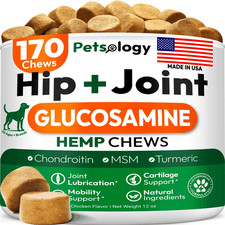 Hemp Hip and Joint Supplement for Dogs Glucosamine for Dogs 170 Mobility