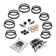 Triumph Speed Triple T509 900 1998 Front Brake Caliper Seal Service Kit Rebuild