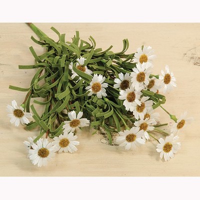 Mini Mountain Daisy Bush in Ivory / Cream - 18'' High - Floral Arrangement