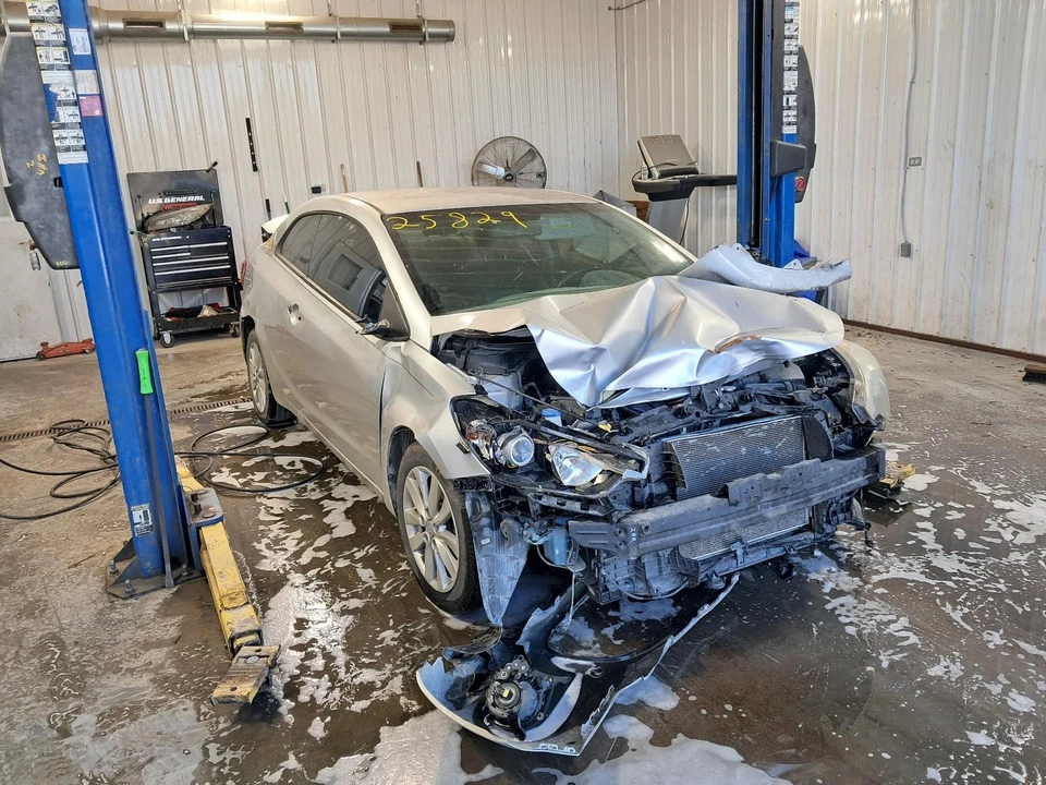 Used Deck Lid fits: 2014 Kia Forte Coupe rear view camera incandescent lamps Gra - Image 2 of 4