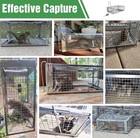 Humane Rat Trap - Catch & Release Chipmunks, Squirrels, Rats & Mice, Metal Cage — photo 7
