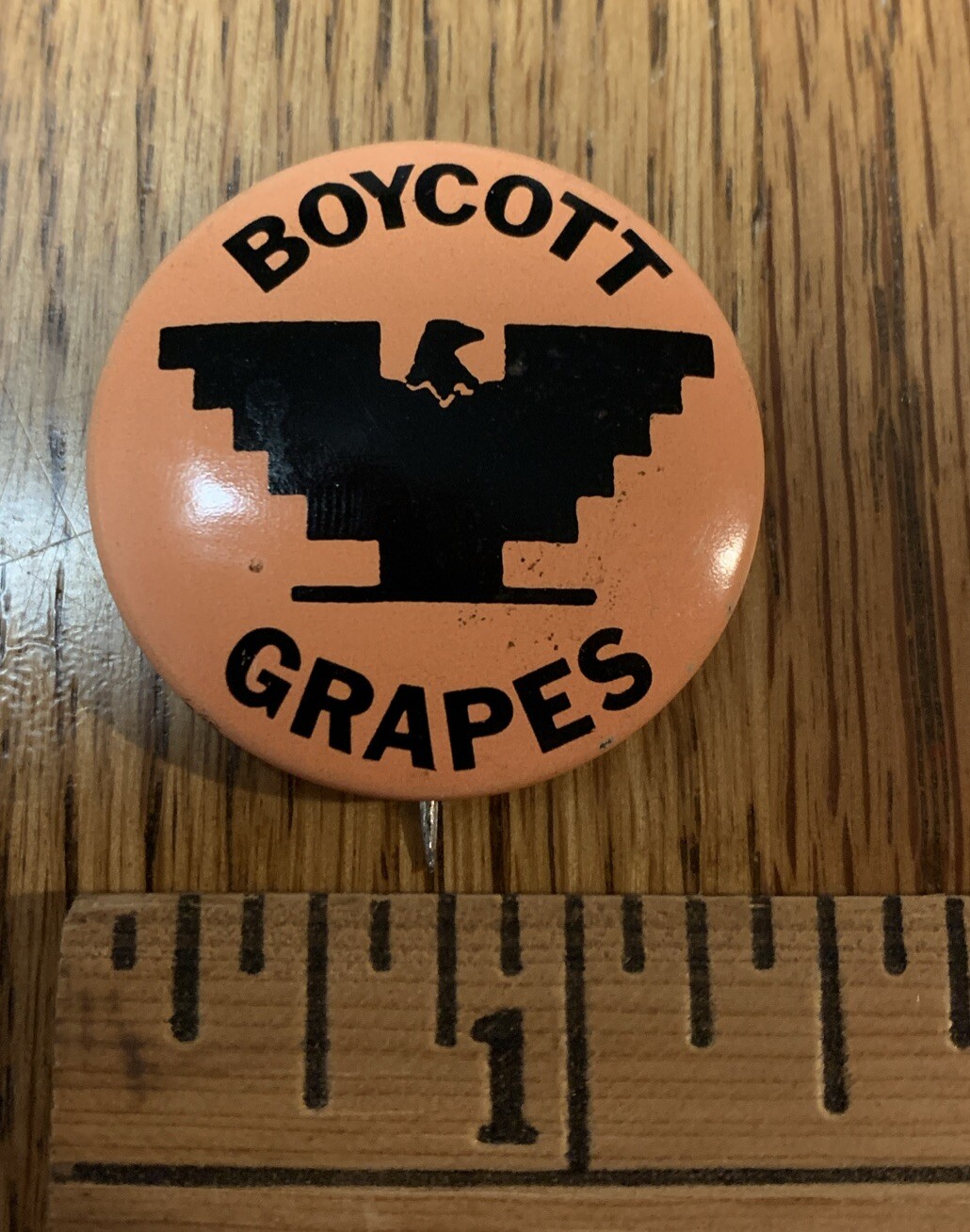 UFW 1.5" United Farm Workers Boycott Grapes pinback button eBay