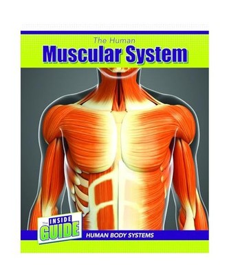 The Human Muscular System (The Inside Guide: Human Body Systems), Lawton, Cassie