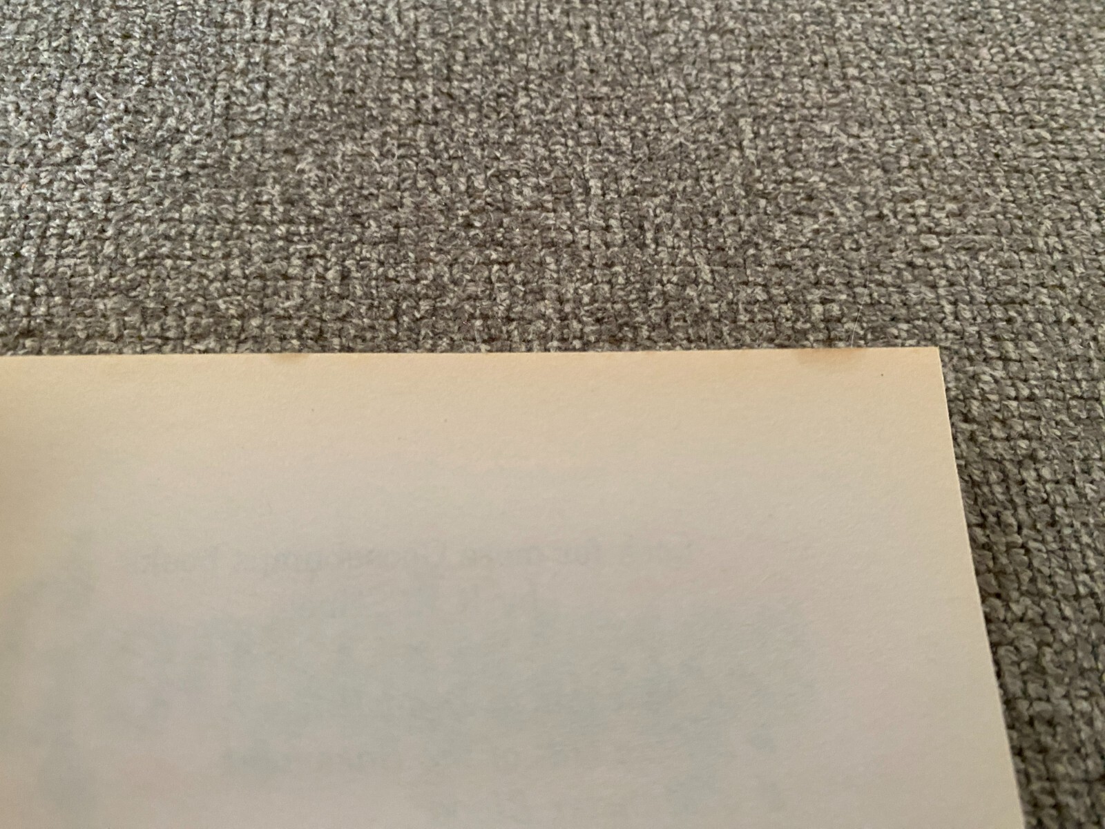 Picture 10 of 14