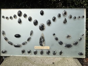 Black Plume Agate Cabochon Collection Tray Central Oregon Scenic Lapidary