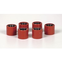 Piaggio Rollenkit 19X17 12.5Gr 6 Rollen (FüR: Beta Eikon 125 S7 99-05 )