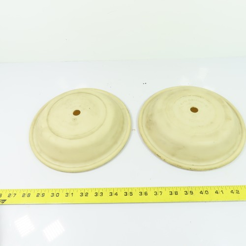 Wilden Pump 04-1010-58 Pump Diaphragms Lot Of 2