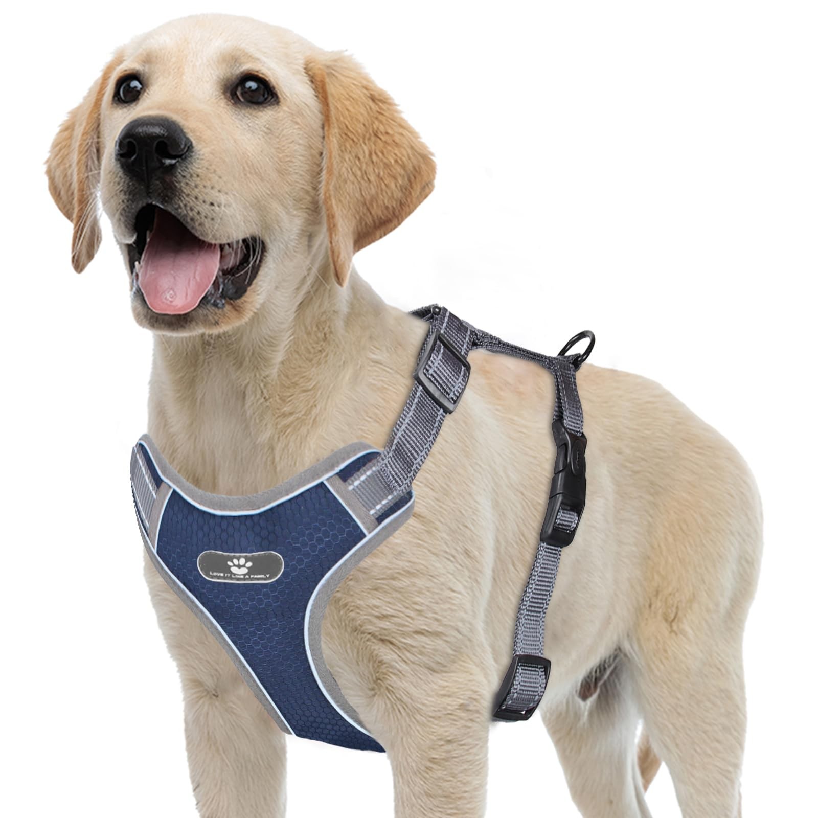 Harnais chien anti-traction ergonomique en nylon respirant taille M pour balades sans tirage