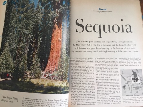 May 1962 Sunset Magazine Mid Century MCM Sequoia National Park - Picture 6 of 11
