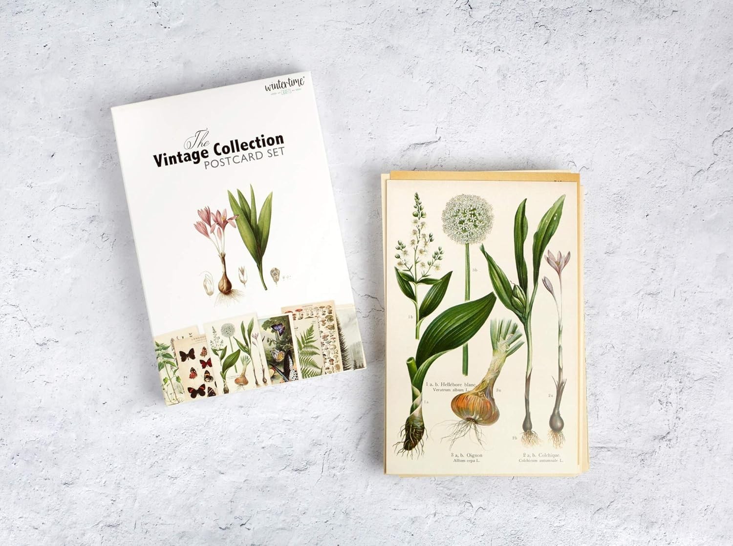 30 Unique Vintage Botanical Postcards: Semi-Gloss, High-Resolution Art Cards