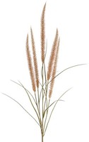 Artplants KüNstliches Federborstengras Arevalo Mit Rispen, Beige, 135Cm