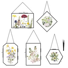 FOCHIER F 5 Pcs Pressed Flower Frames with Tweezers, Wall Hanging Tabletop Di...