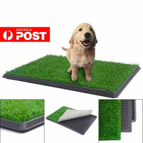 Plastic Mat Other Dog Supplies