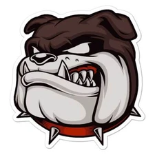 English Bulldog Head, Vinyl Decal Sticker, Indoor Outdoor, 3 Sizes, #8511