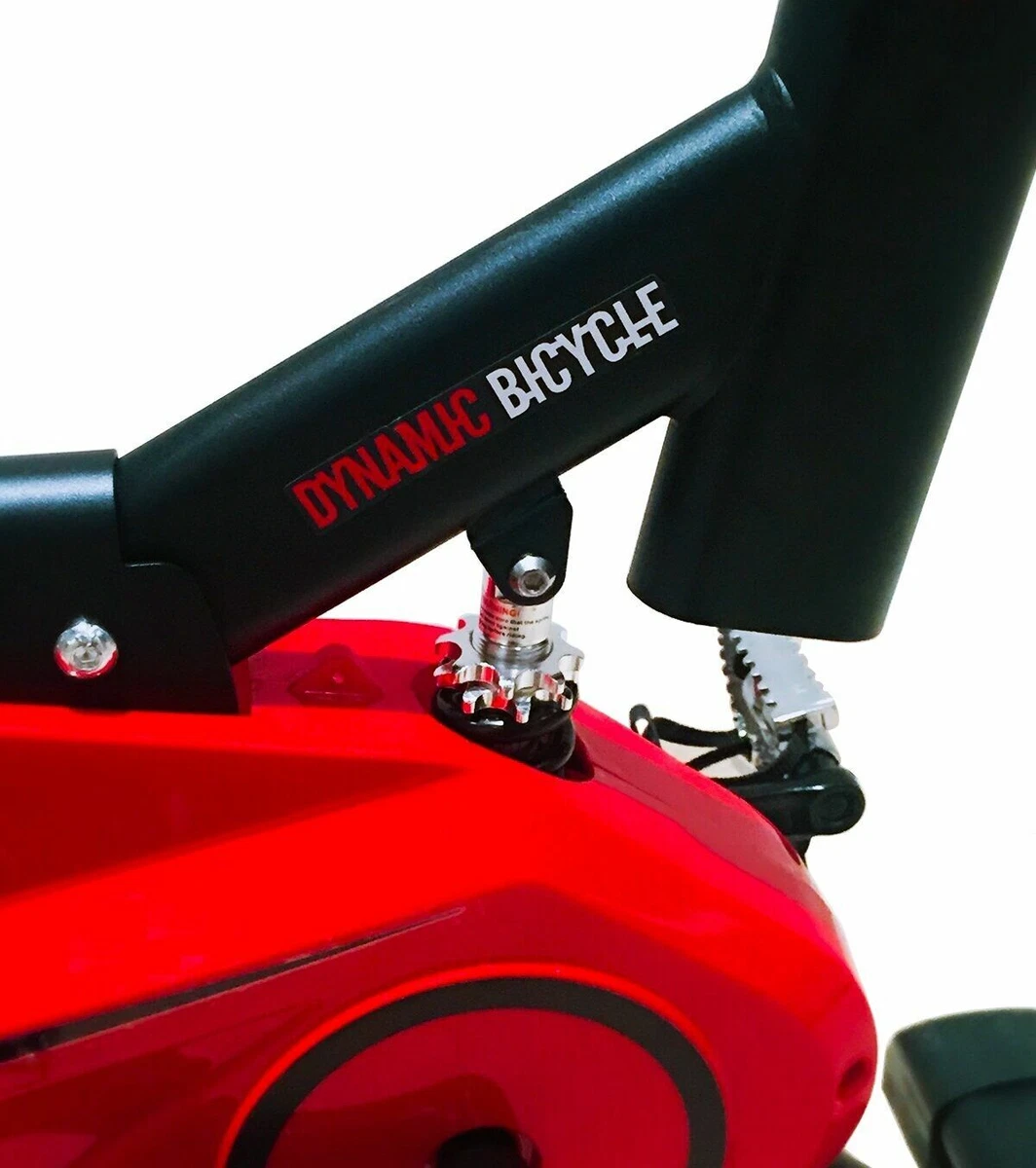 Maketec dynamic bicycle hot sale