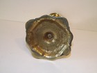 Bild 9 von 9