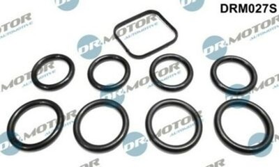 DICHTUNGSSATZ MOTOR ANSAUGKRÜMMER CITROEN PEUGEOT MAZDA VOLVO FORD DRM027S