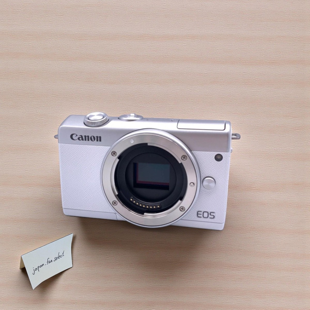 Canon EOS M200 24.1 MP Mirrorless Interchangeable Lens Camera