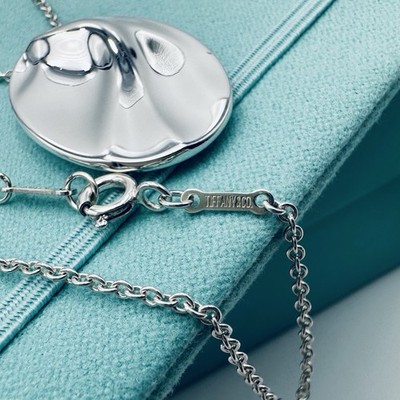 Tiffany & Co. Pure Silver Ag 1000 Aquarius Zodiac Necklace 29