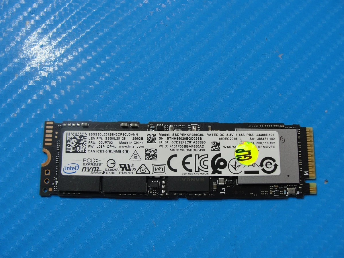 25+ Intel M.2 Interface 256 GB Solid State Drives for sale