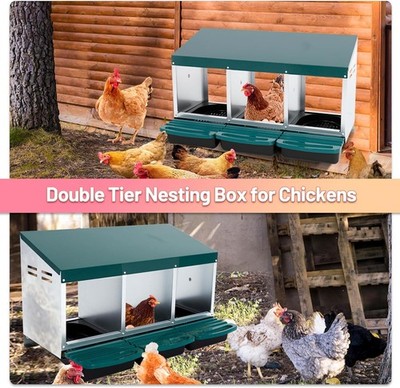Chicken Nesting Boxes 3 Compartment Metal Chicken Egg Laying Box (Green,3 Holes)